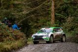 Britská rallye ve Walesu: Jezdec ŠKODA Kopecký ve vedení před týmovým kolegou Kalle Rovanperou