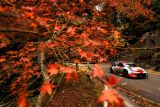 Rallye Japonsko: Tři první místa pro TOYOTU GAZOO Racing