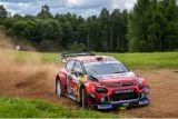 C3 WRC mohou prokázat akrobatický talent