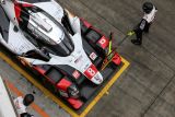 Triumfální vítězství týmu TOYOTA GAZOO Racing na okruhu Fuji