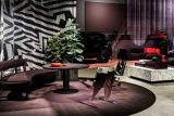 Lynk a Co showroom Cestlice