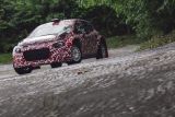 Citroën připravuje C3 R5